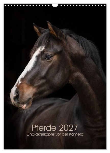 Produktbild: Pferde 2027 - Charakterk&ouml;pfe vor der Kamera (Wandkalender 2027 DIN A3 hoch), CALVENDO Monatskalender