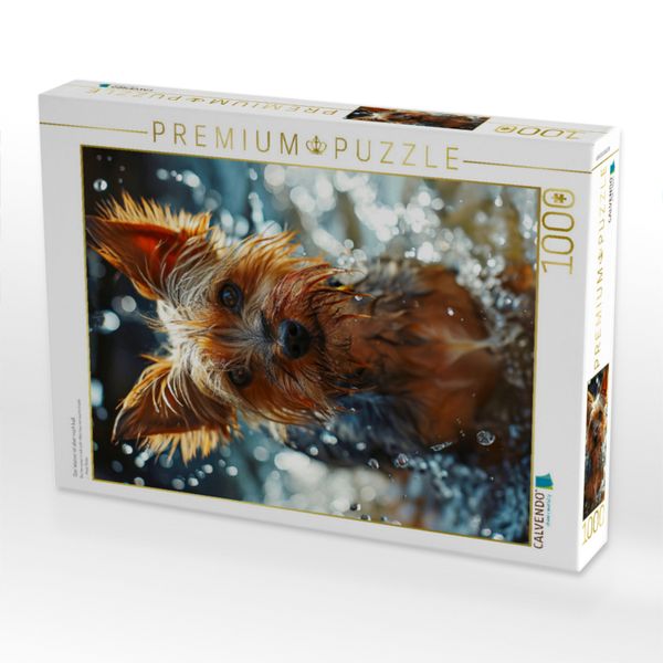 Produktbild: CALVENDO Puzzle Das Wasser ist aber noch kalt | 1000 Teile Lege-Gr&ouml;&szlig;e 64x48cm Foto-Puzzle f&uuml;r gl&uuml;ckliche Stunden