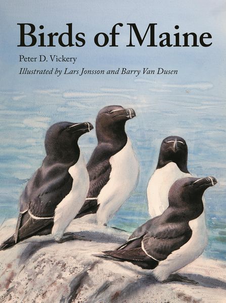 Produktbild: Birds of Maine