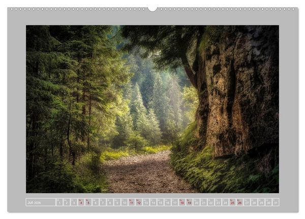 Produktbild: Wald im Licht (Wandkalender 2026 DIN A2 quer), CALVENDO Monatskalender