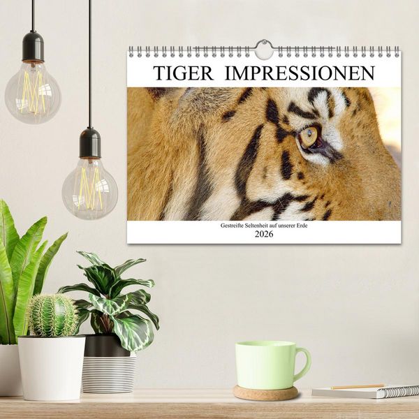 Produktbild: TIGER IMPRESSIONEN Gestreifte Seltenheit auf unserer Erde (Wandkalender 2026 DIN A4 quer), CALVENDO Monatskalender
