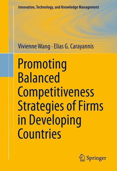 Produktbild: Promoting Balanced Competitiveness Strategies of Firms in Developing Countries