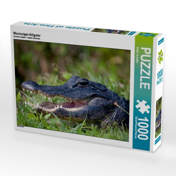 CALVENDO Puzzle Mississippi-Alligator | 1000 Teile Lege-Größe 64x48cm Foto-Puzzle für glückliche Stunden