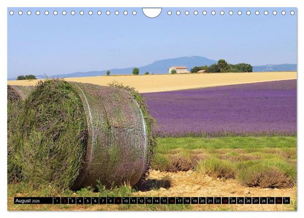 Produktbild: Lavendel (Wandkalender 2026 DIN A4 quer), CALVENDO Monatskalender