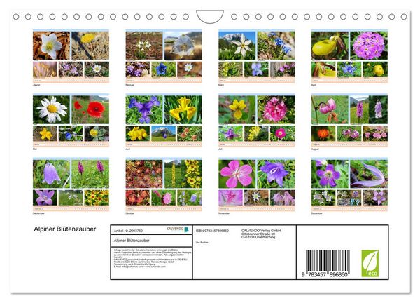 Produktbild: Alpiner Bl&uuml;tenzauber (Wandkalender 2026 DIN A4 quer), CALVENDO Monatskalender