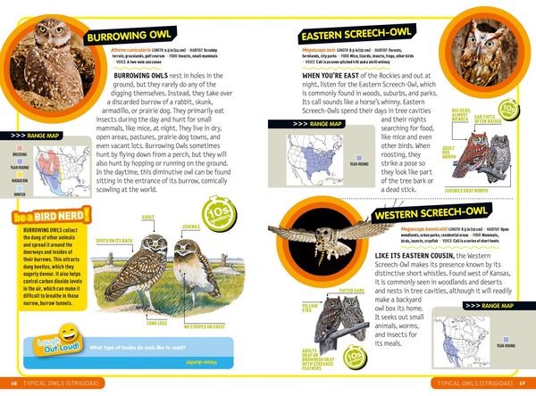 Produktbild: Ultimate Explorer Field Guide: Birds