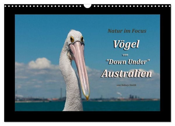 Produktbild: V&ouml;gel von "Down Under" Australien (Wandkalender 2026 DIN A3 quer), CALVENDO Monatskalender