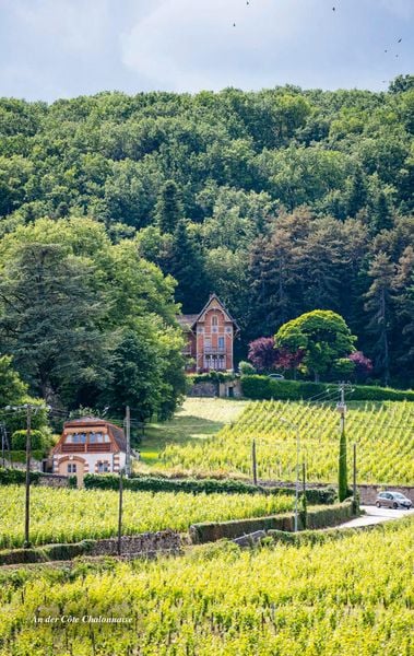 Produktbild: Reisef&uuml;hrer Burgund