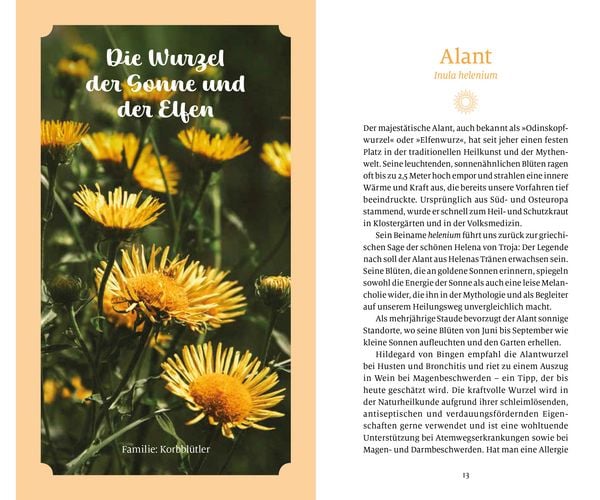 Produktbild: Sonnenkräuter für die Seele