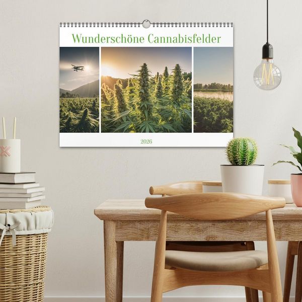 Produktbild: Wundersch&ouml;ne Cannabisfelder (Wandkalender 2026 DIN A3 quer), CALVENDO Monatskalender