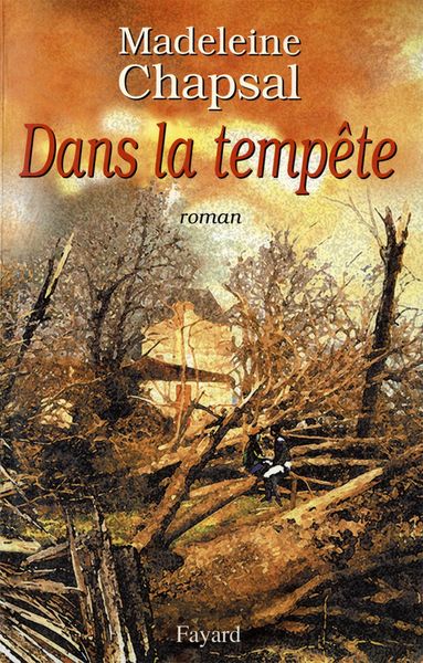 Produktbild: Dans la temp&ecirc;te