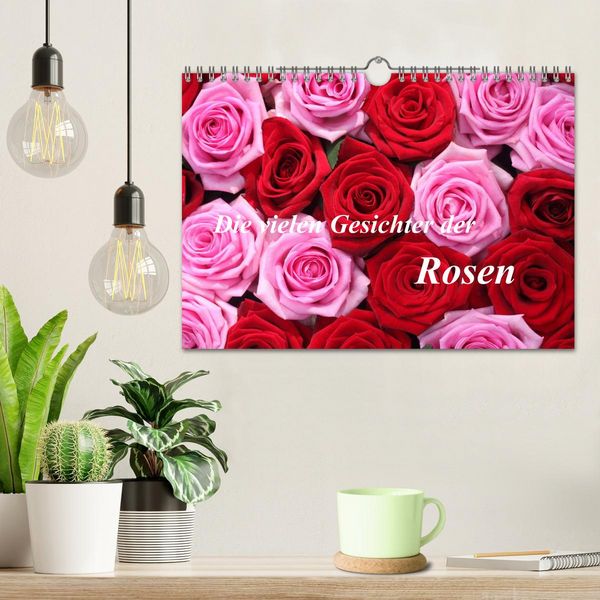Produktbild: Die vielen Gesichter der Rosen (Wandkalender 2026 DIN A4 quer), CALVENDO Monatskalender