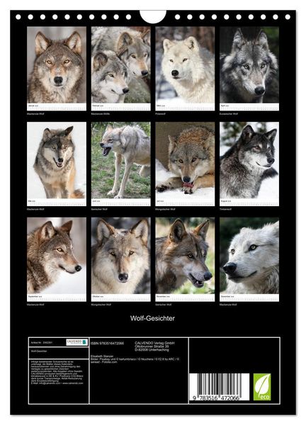 Produktbild: Wolf-Gesichter (Wandkalender 2026 DIN A4 hoch), CALVENDO Monatskalender