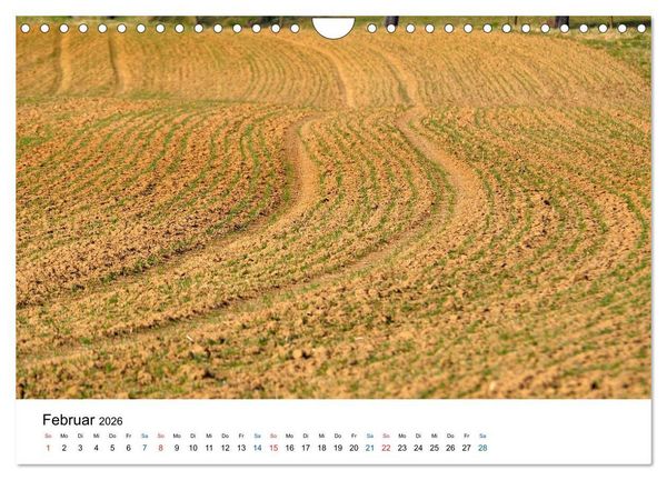 Produktbild: Felder und Wiesen (Wandkalender 2026 DIN A4 quer), CALVENDO Monatskalender