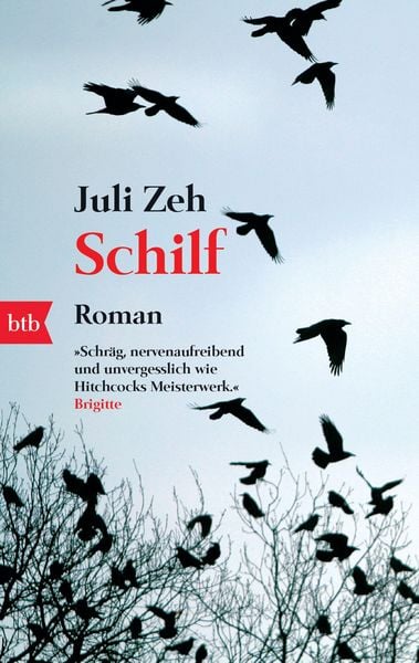 Produktbild: Schilf