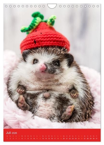 Produktbild: Gilbert der Igel (Wandkalender 2026 DIN A4 hoch), CALVENDO Monatskalender