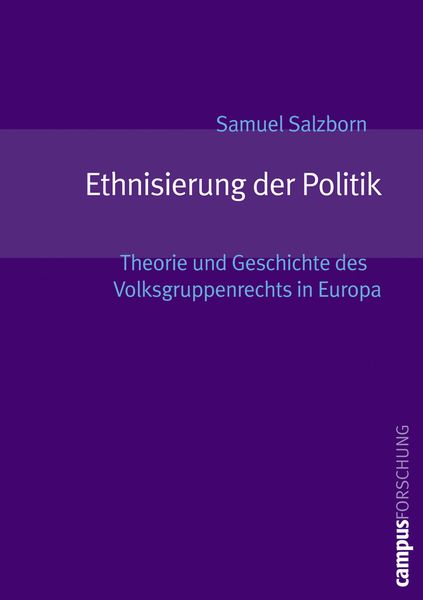 Produktbild: Ethnisierung der Politik