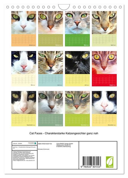 Produktbild: Cat Faces - Charakterstarke Katzengesichter ganz nah (Wandkalender 2026 DIN A4 hoch), CALVENDO Monatskalender