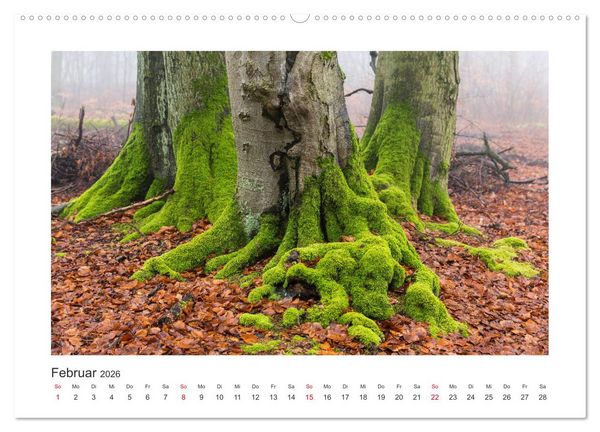 Produktbild: Kasseler Landschaften (Wandkalender 2026 DIN A2 quer), CALVENDO Monatskalender
