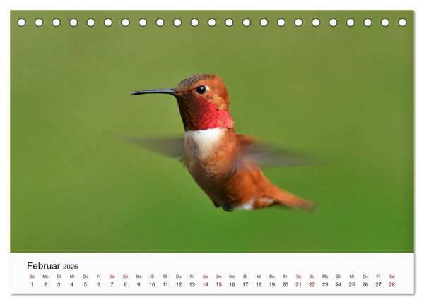 Produktbild: V&ouml;gel - Die K&ouml;nige der L&uuml;fte (Tischkalender 2026 DIN A5 quer), CALVENDO Monatskalender