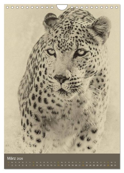 Produktbild: Afrikas Tierwelt - Sepia-Art (Wandkalender 2026 DIN A4 hoch), CALVENDO Monatskalender