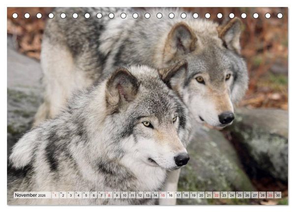 Produktbild: Alaska und Kanada (Tischkalender 2026 DIN A5 quer), CALVENDO Monatskalender