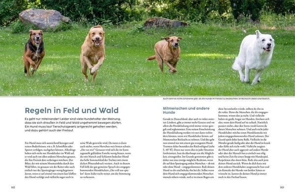 Produktbild: Jagdverhalten bei Hunden