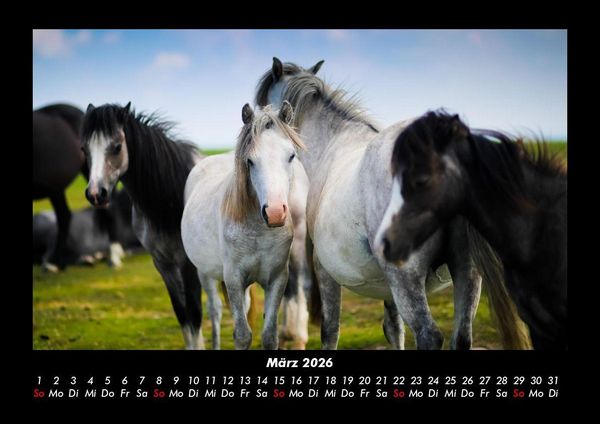 Produktbild: Die Welt der Pferde 2026 Fotokalender DIN A3