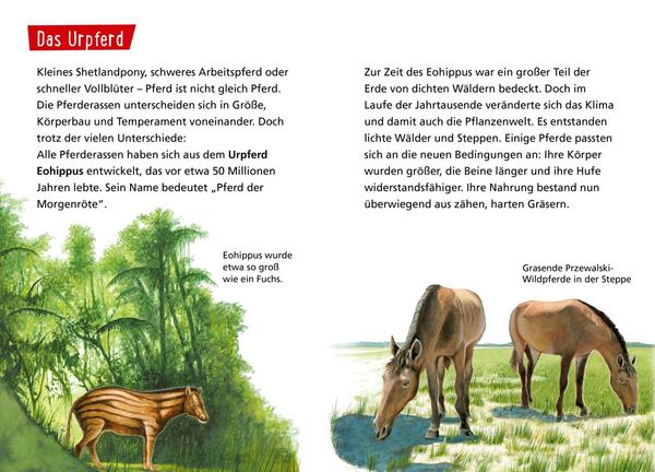 Produktbild: Pixi Wissen 1: Pferde und Ponys