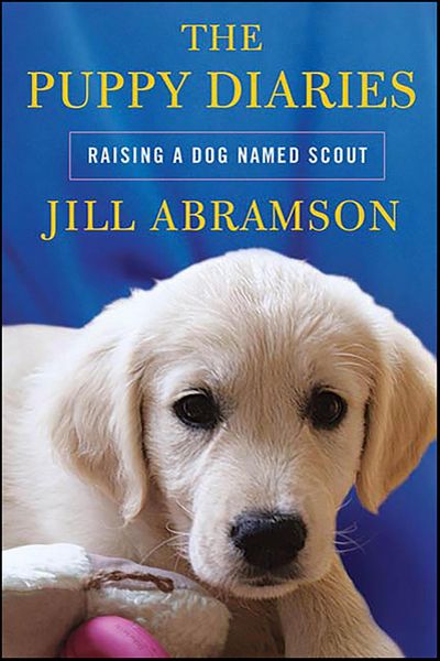 Produktbild: The Puppy Diaries