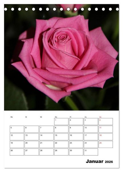 Produktbild: Zauberhafte Rosen (Tischkalender 2026 DIN A5 hoch), CALVENDO Monatskalender