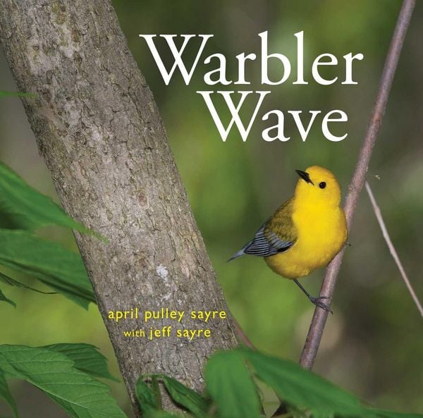 Produktbild: Warbler Wave