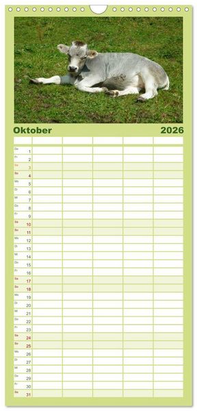 Produktbild: Familienplaner 2026 - Die Welt der K&uuml;he mit 5 Spalten (Wandkalender, 21 x 45 cm) CALVENDO