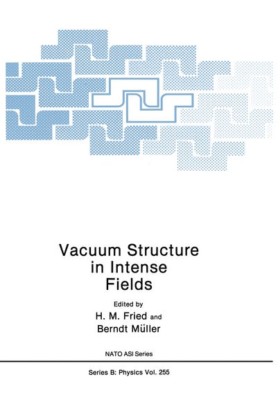 Produktbild: Vacuum Structure in Intense Fields