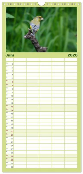 Produktbild: Familienplaner 2026 - V&ouml;gel mit 5 Spalten (Wandkalender, 21 x 45 cm) CALVENDO