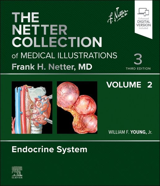Produktbild: The Netter Collection of Medical Illustrations: Endocrine System, Volume 2