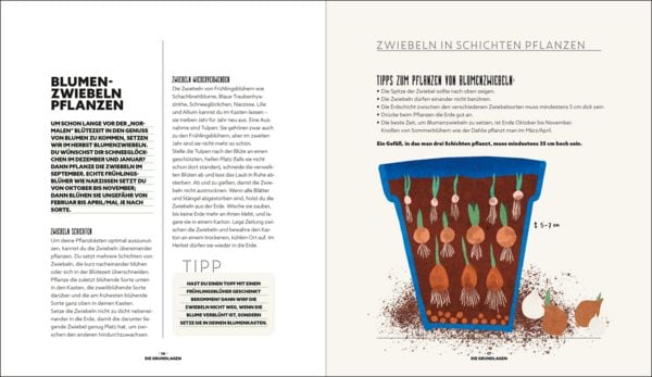Produktbild: Blumenzauber &ndash; Mein bl&uuml;hendes Paradies auf Balkon und Terrasse