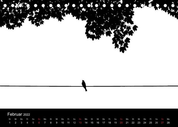 Produktbild: Kieler V&ouml;gel (Tischkalender 2022 DIN A5 quer)