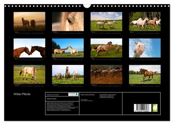 Produktbild: Wilde Pferde (Wandkalender 2026 DIN A3 quer), CALVENDO Monatskalender