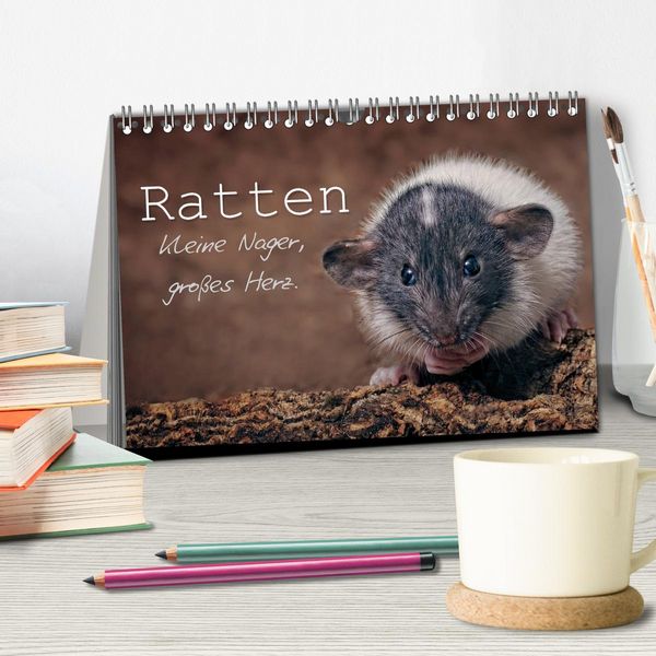 Produktbild: Ratten. Kleine Nager, gro&szlig;es Herz. (Tischkalender 2026 DIN A5 quer), CALVENDO Monatskalender
