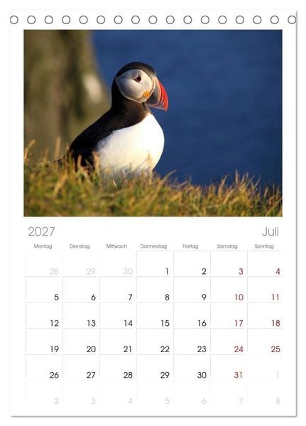 Produktbild: Tischplaner 2027 - Island - Iceland (A5 Tischkalender zum Aufstellen) CALVENDO