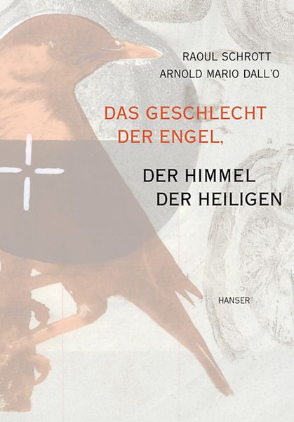 Das Geschlecht der Engel, der Himmel der Heiligen, Gebundene Ausgabe von Raoul Schrott, Carl Hanser, 9783446200203