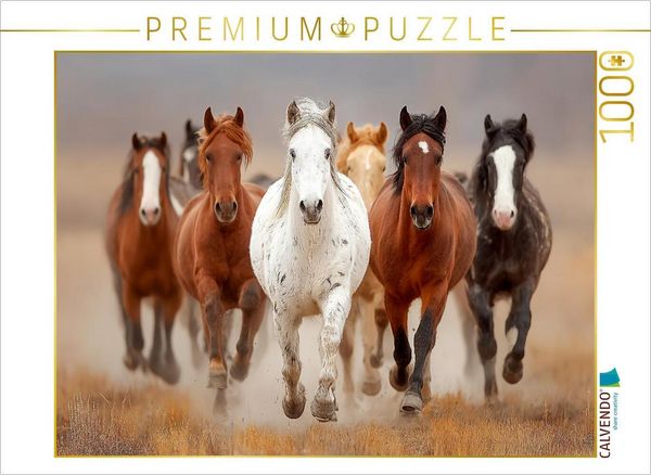 Produktbild: CALVENDO Puzzle Wild lebende Mustangs im Galopp | 1000 Teile Lege-Gr&ouml;&szlig;e 64x48cm Foto-Puzzle f&uuml;r gl&uuml;ckliche Stunden
