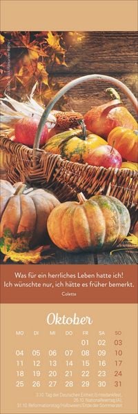 Produktbild: Tage voller Gl&uuml;ck Lesezeichen & Kalender 2027