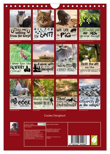 Produktbild: Cooles Denglisch (Wandkalender 2026 DIN A4 hoch), CALVENDO Monatskalender