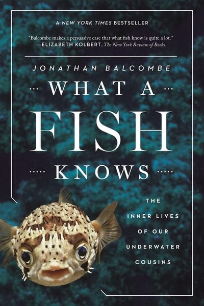 Produktbild: What a Fish Knows