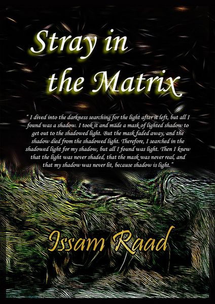 Produktbild: Stray in the Matrix