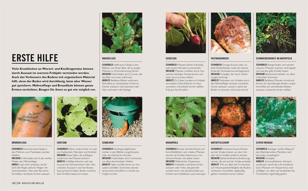 Produktbild: Gr&uuml;nes Gartenwissen. Gem&uuml;se anbauen