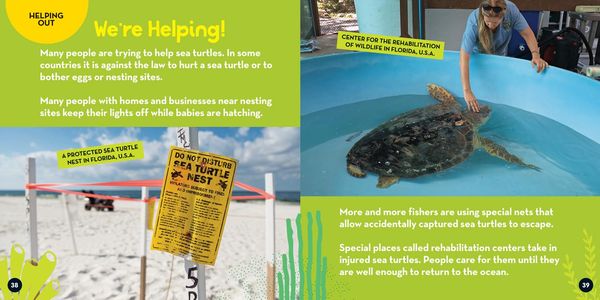 Produktbild: Go Wild! Sea Turtles