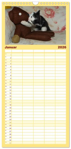 Produktbild: Familienplaner 2026 - Die Launen der Katzen 2026 mit 5 Spalten (Wandkalender, 21 x 45 cm) CALVENDO